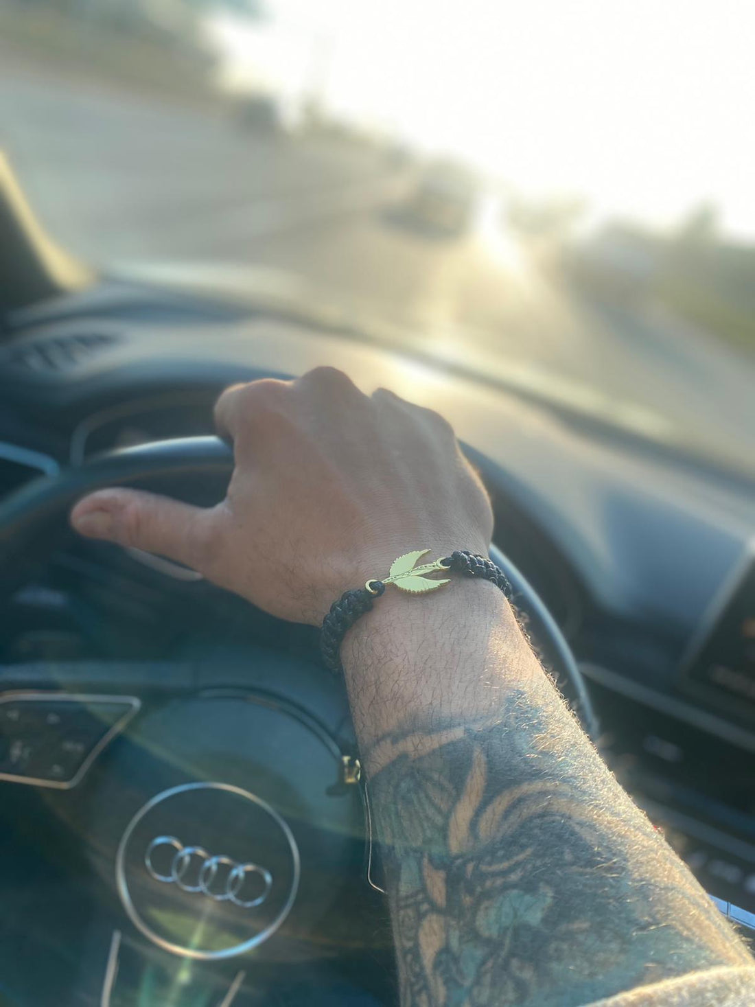 Cruising with my Thoughts